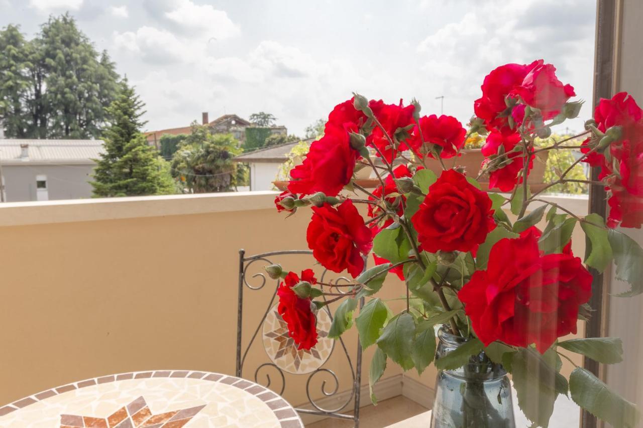 Galliera Veneta B&B Armonie Di Campagna מראה חיצוני תמונה
